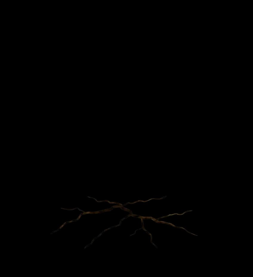 A seedling growing out of cracked, dry ground: it begins as barren earth and rises into a single open leaf.